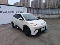 BYD Seagull 2025 305km Vitality Edition - ფოტო 3