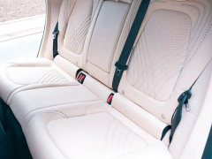 Aston Martin DBX 4.0T V8 Enigma - ფოტო 10