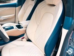Aston Martin DBX 4.0T V8 Enigma - ფოტო 11