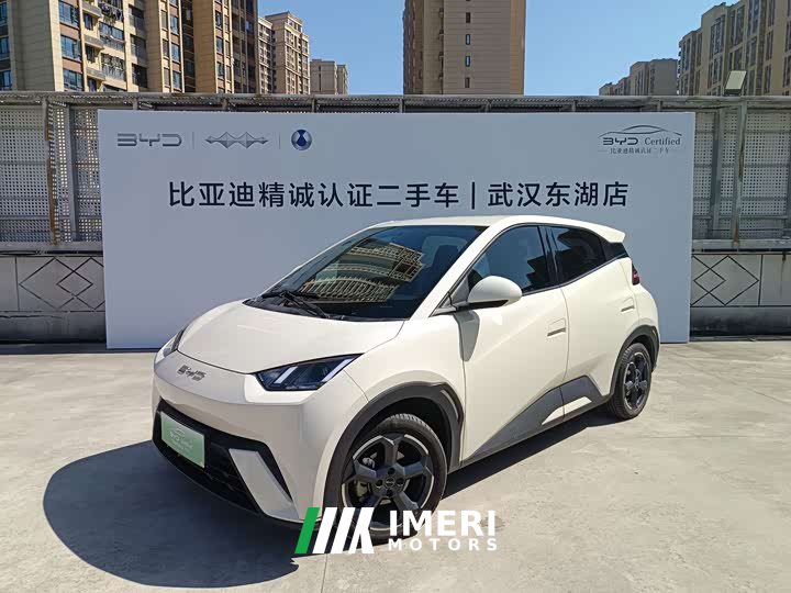 BYD Seagull Freedom Edition - ავტომობილი ჩინეთიდან