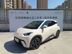 BYD Seagull Freedom Edition - ფოტო 1