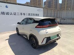 BYD Seagull Freedom Edition - ფოტო 18
