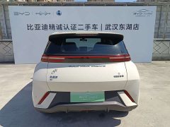 BYD Seagull Freedom Edition - ფოტო 19