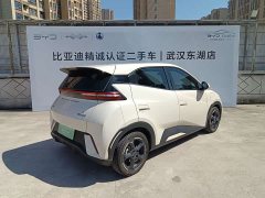 BYD Seagull Freedom Edition - ფოტო 20