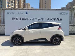 BYD Seagull Freedom Edition - ფოტო 4