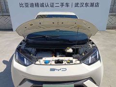 BYD Seagull Freedom Edition - ფოტო 6