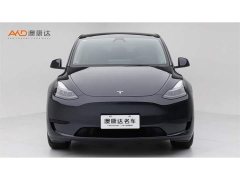 Tesla Model Y Rear-Wheel Drive - ფოტო 2