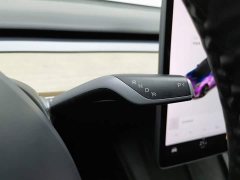 Tesla Model 3 Standard Range RWD Upgrade 3D6 - ფოტო 13