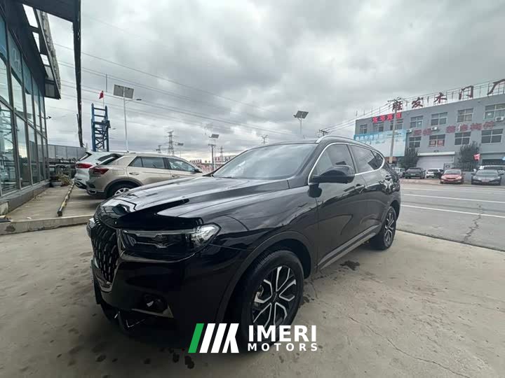Haval H6 2023 National Trend Edition 1.5T Automatic Urban Version - ავტომობილი ჩინეთიდან
