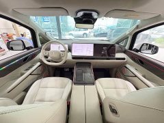 Great Wall WEY Shanshan New Energy Four-Wheel Drive Shanshan 8 - ფოტო 11