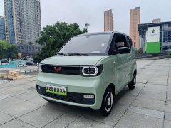 BMW Hongguang MINIEV Macaron Fashion Edition LFP Battery - ფოტო 1
