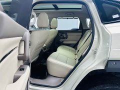 Haval Big Dog PLUS New Energy 2026 Hi4 150km Trendy EV Edition - ფოტო 9