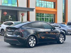 Tesla Model Y 2022 Facelift Rear-Wheel Drive - ფოტო 13
