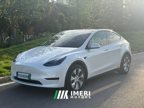 2022 Tesla Model Y Rear-Wheel Drive - ავტომობილი ჩინეთიდან