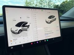 Tesla Model Y Rear-Wheel Drive - ფოტო 14
