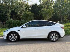 Tesla Model Y Rear-Wheel Drive - ფოტო 3