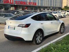 Tesla Model Y Rear-Wheel Drive - ფოტო 6