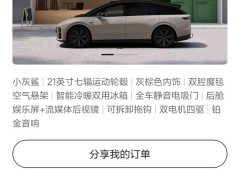 Li Auto i6 Four-Wheel Drive Standard Edition - ფოტო 17
