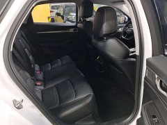 Geely Xingui Xingrui 2.0T Diesel Luxury - photo 10