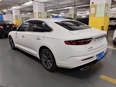 Geely Xingui Xingrui 2.0T Diesel Luxury - photo 4