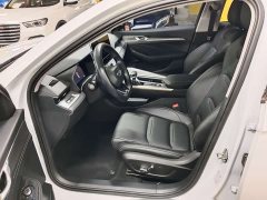 Geely Xingui Xingrui 2.0T Diesel Luxury - photo 7
