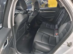 Geely Xingui Xingrui 2.0T Diesel Luxury - photo 8