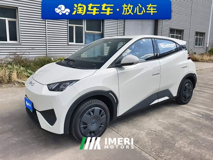 BYD Seagull 2025 Smart Drive 305km Vitality Edition - ავტომობილი ჩინეთიდან