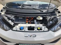 BYD Seagull 2025 Smart Drive 305km Vitality Edition - ფოტო 10