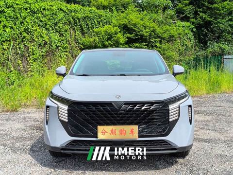 2022 Chery Arrizo DV Raize 260T Love Bean Edition