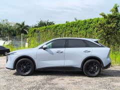 Chery Raize 2021 260T Love Bean Edition - ფოტო 4