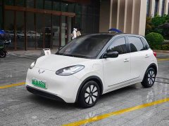 Wuling Binguo 333km Joy Edition - ფოტო 1
