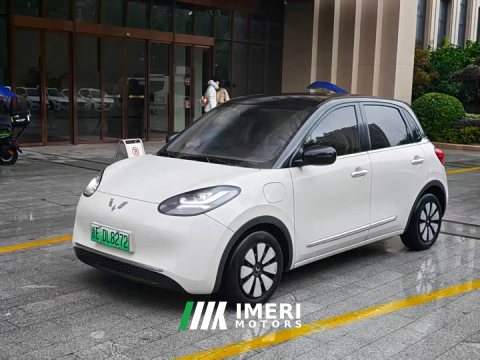 2023 Wuling Binguo 333km Joy Edition - ავტომობილი ჩინეთიდან