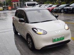 Wuling Binguo 333km Joy Edition - ფოტო 3