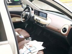 Wuling Binguo 333km Joy Edition - ფოტო 4