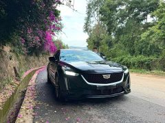 Cadillac CT5 28T Leading Sport - ფოტო 3