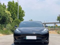 Tesla Model 3 2020 Facelift Standard Range RWD Upgrade - ფოტო 2
