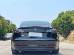 Tesla Model 3 2020 Facelift Standard Range RWD Upgrade - ფოტო 6