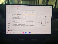Zeekr Geely Zeekr 8X Max 55kWh - ფოტო 13