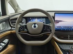 Denza D9 2022 DM-i 970 AWD Flagship - ფოტო 11