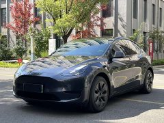 Tesla Model Y Rear-Wheel Drive - ფოტო 1