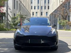 Tesla Model Y Rear-Wheel Drive - ფოტო 2