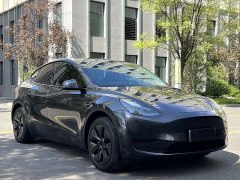 Tesla Model Y Rear-Wheel Drive - ფოტო 3