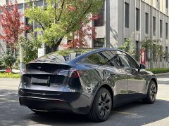 Tesla Model Y Rear-Wheel Drive - ფოტო 7