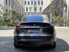 Tesla Model Y Rear-Wheel Drive - ფოტო 8