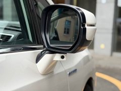 Honda Odyssey 2.0L Sharp Premium Edition - ფოტო 4