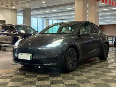 Tesla Model Y Rear-Wheel Drive - ფოტო 1