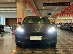 Tesla Model Y Rear-Wheel Drive - ფოტო 2