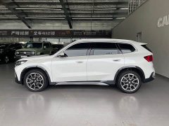 BMW X1 sDrive25Li X Design Package - ფოტო 8