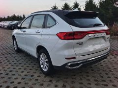 Haval M6 PLUS 1.5T Manual Elite Smart Connected Edition - ფოტო 7