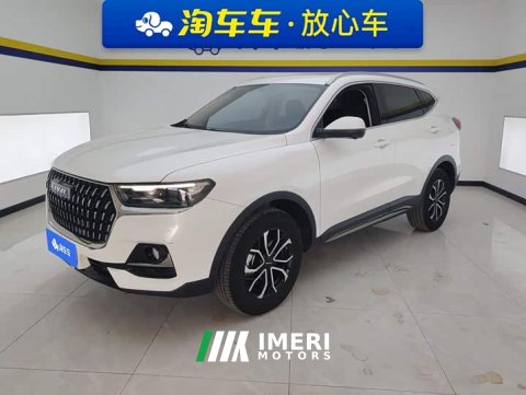 2024 Haval H6 2023 National Trend Edition 1.5T Automatic Urban Version - ავტომობილი ჩინეთიდან